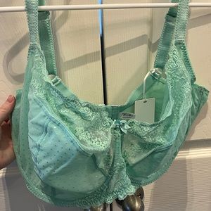 NWT flirtelle viola balconette in mint size 40JJ